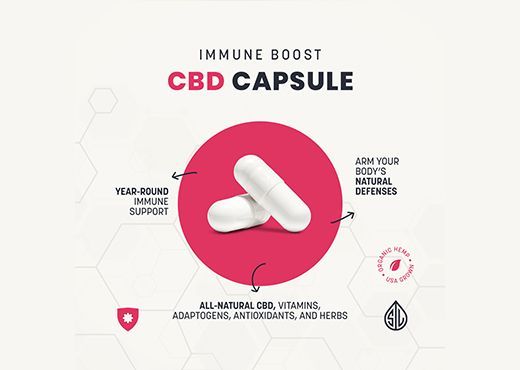 immune boost cbd capsule, natural immune supplement, organic immune pills