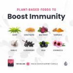best cbd immune support, organic immune vitamins, elderberry, hemp, cordyceps, beetroot, turmeric, garlic, acai, echinacea