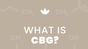 cbg vs cbd, what is cbg, cannabigerol