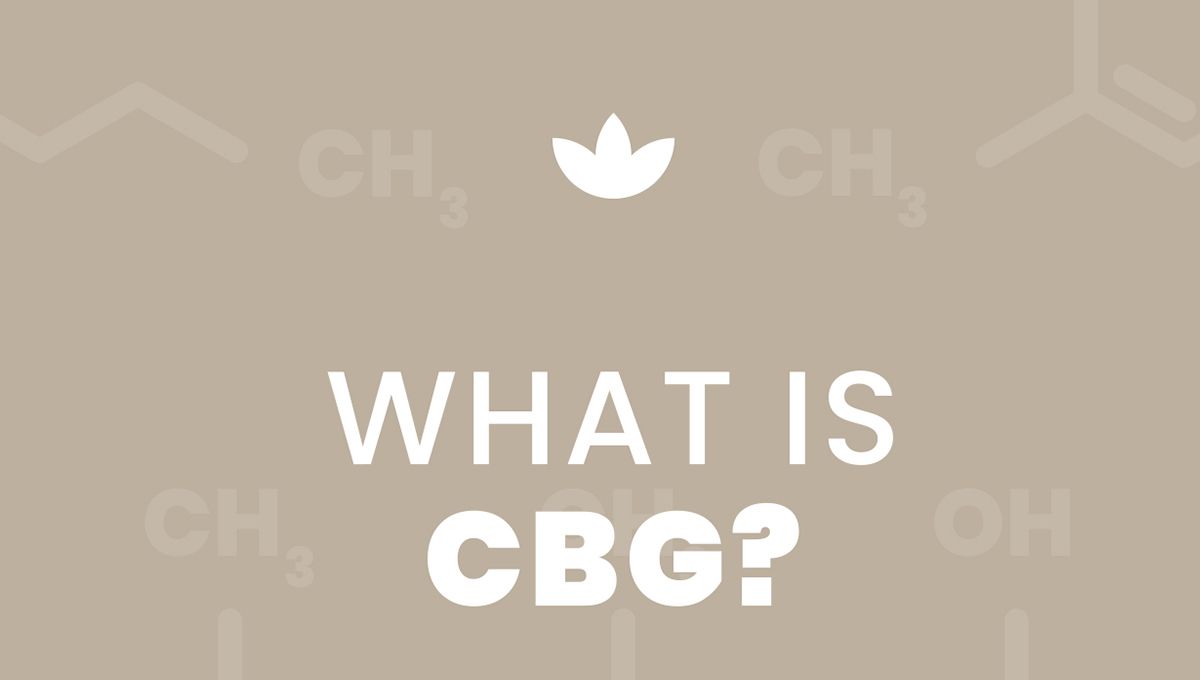 CBD vs CBG, CBG vs CBD, What is cbg