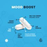 stress supplement, cbd mood boost stress vitamins