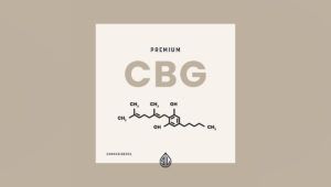 What is cannabigerol, what is cbg, best cbg