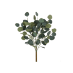 Eucalyptus-SimpleLeaf-150x150.png