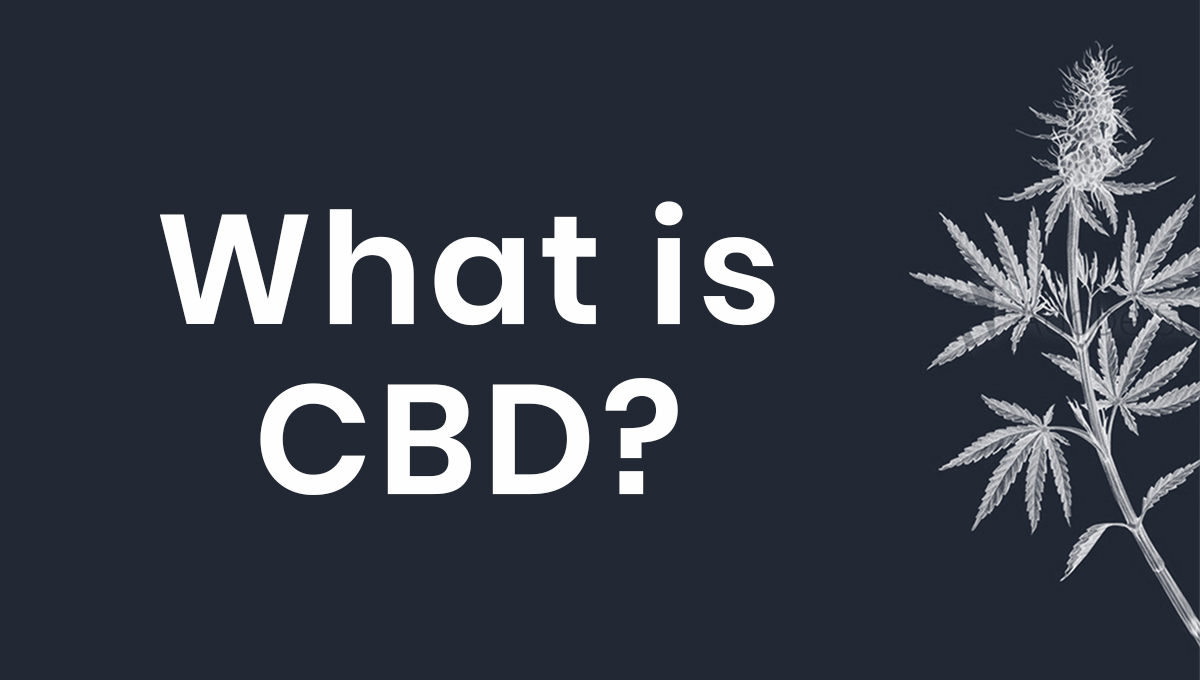 What is CBD, simpleleaf