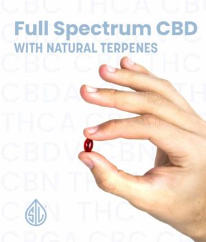 Full Spectrum CBD Hemp Oil - Organic