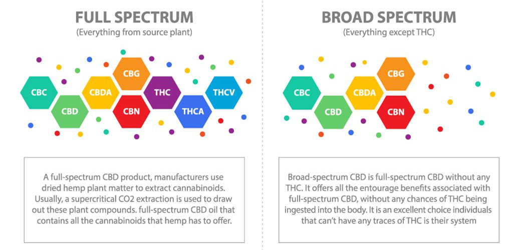 What is Full Spectrum CBD, Full Spectrum CBD vs Broad Spectrum CBD