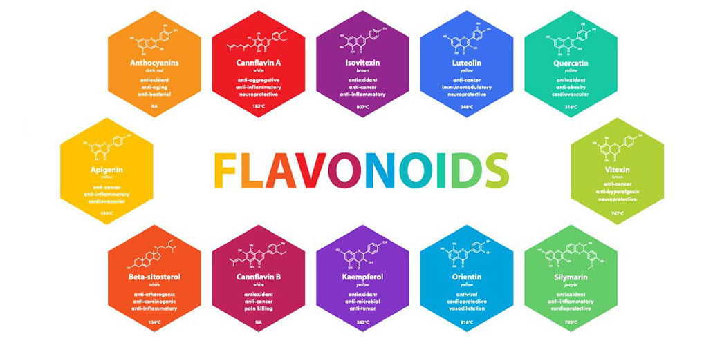 What is Full Spectrum CBD, Flavonoids