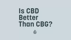 is cbd better than cbg