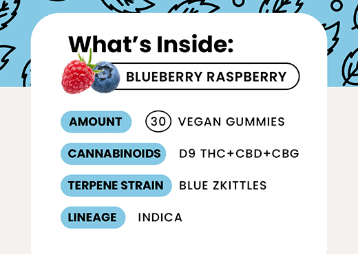 Delta-9 THC Gummies - NDICA - Blue Raspberry-whats inside