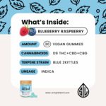 Delta-9 THC Gummies - Organic Hemp Derived - INDICA - Blue Raspberry-whats inside