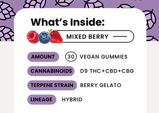 Whats Inside Delta-9 THC Gummies - Organic Hemp Derived - HYBRID - Mixed Berry
