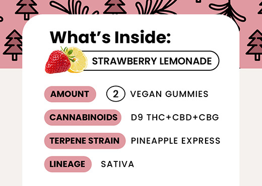 Delta-9 THC Gummies - Organic Hemp Derived - SATIVA - Strawberry Lemonade-whats inside-