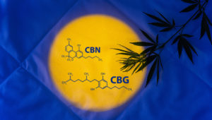 CBN and CBG Cannabinoids Article