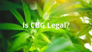 Is CBG Legal