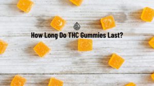 How Long Do THC Gummies Last?